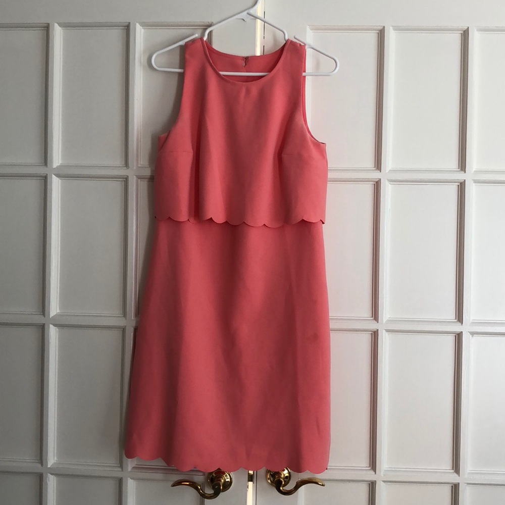 Never worn Pink dress from Loft